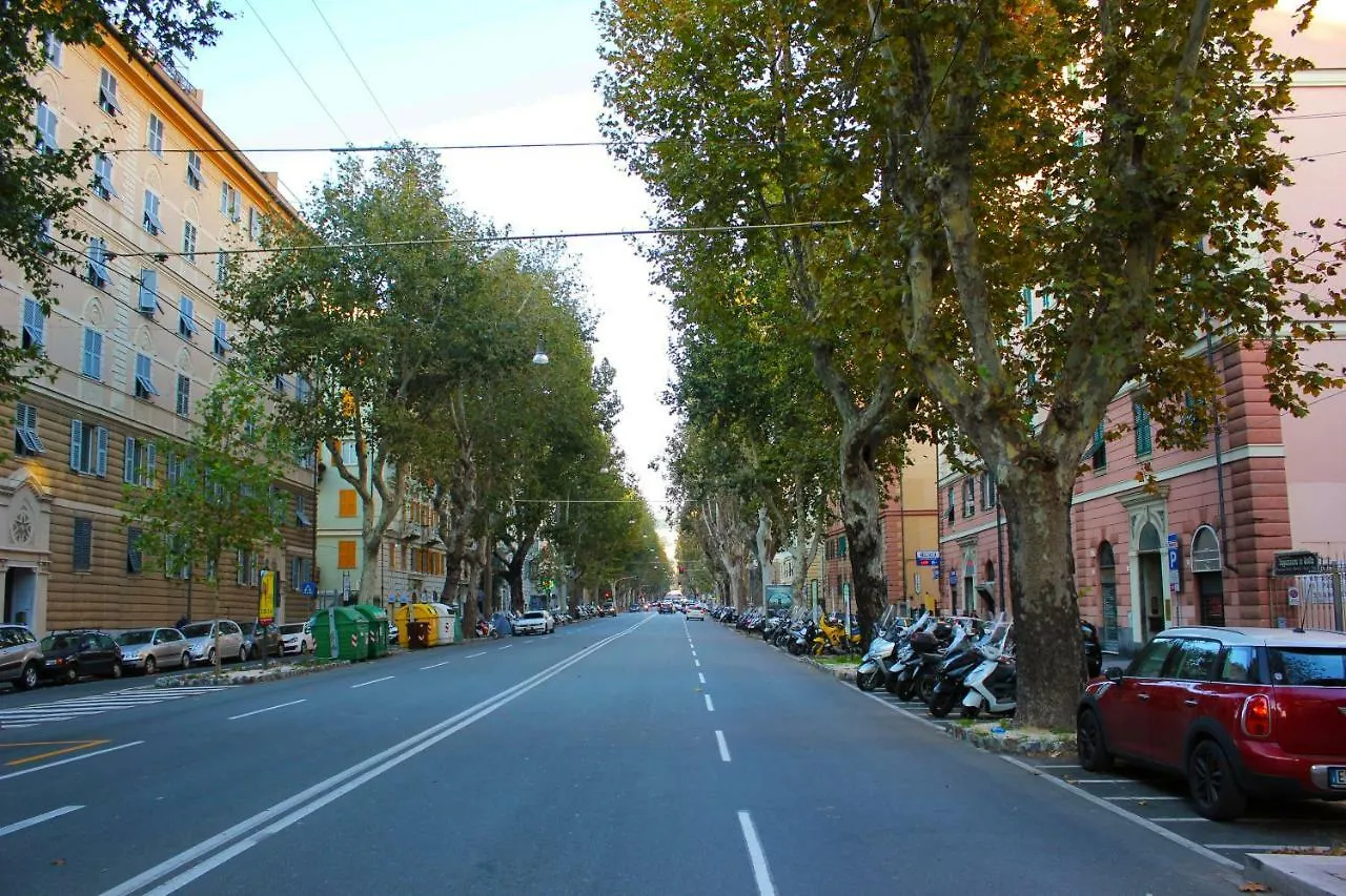 L'Amande Daire Cenova